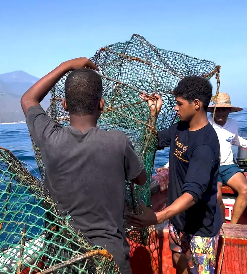 Quality and Sustainability