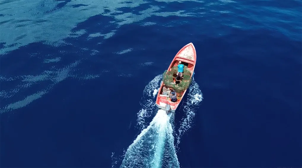 Sustainability is part of our business model