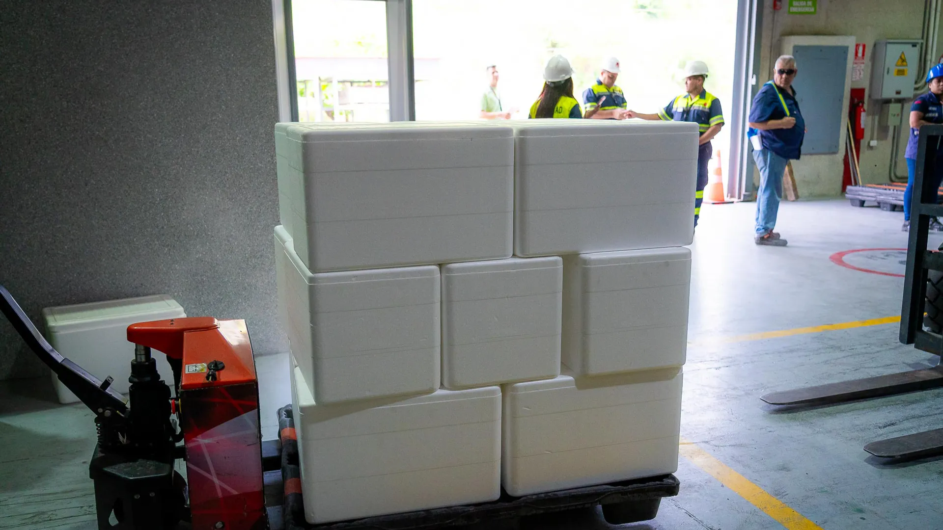 Venezuelan Seas Connect the Country to the International Market