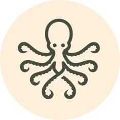 Octopus